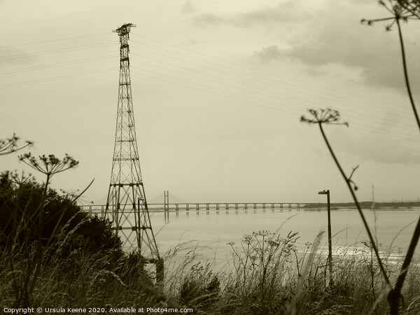M4 Prince of Wales Bridge  in Sepia Picture Board by Ursula Keene