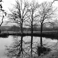 Buy canvas prints of B&W Lake in Countryside by Ursula Keene