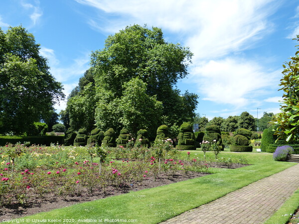 Formal gardens at Hall Place  Picture Board by Ursula Keene