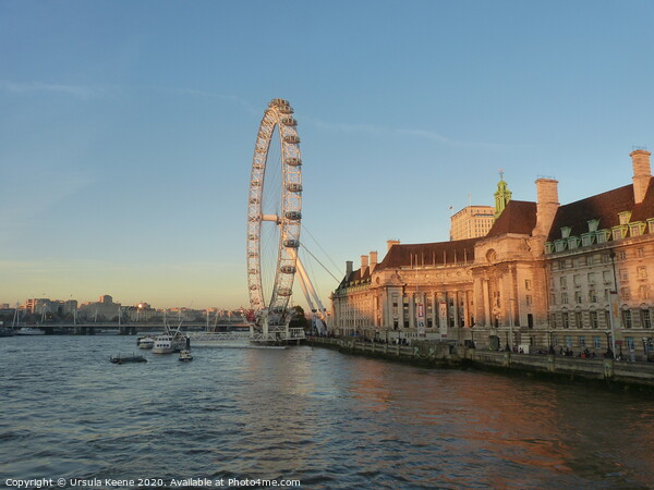 London Eye at dusk  Picture Board by Ursula Keene