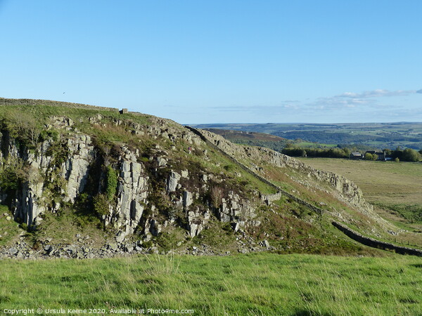 Hadrian's Wall at Highshields Crags West of Sycamore Gap Picture Board by Ursula Keene