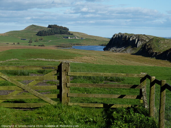 View of Hadrian’s Wall at Steel Rigg & Crag Lough. Picture Board by Ursula Keene