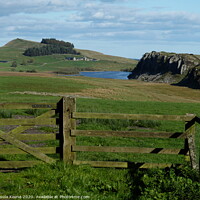 Buy canvas prints of View of Hadrian’s Wall at Steel Rigg & Crag Lough. by Ursula Keene