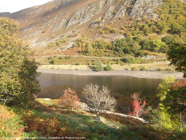 Shores of Reservoir in Elan Valley Wales  Picture Board by Ursula Keene