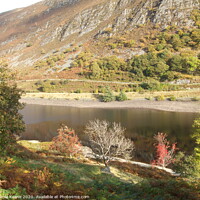 Buy canvas prints of Shores of Reservoir in Elan Valley Wales  by Ursula Keene