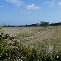 Buy canvas prints of My first view of Bamburgh Castle  by Ursula Keene