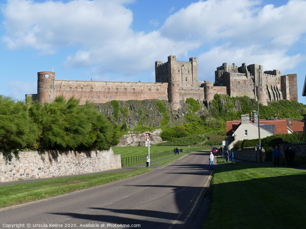 Bamburgh Castle off B1340  Picture Board by Ursula Keene