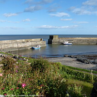 Buy canvas prints of Craster harbour by Ursula Keene