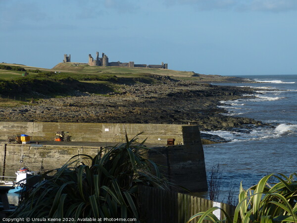 Dunstanburgh Castle from Craster Quay  Picture Board by Ursula Keene