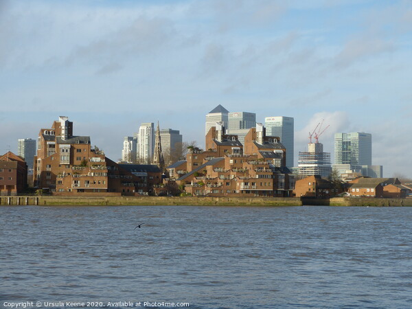 Canary Wharf seen from the River Thames  Picture Board by Ursula Keene