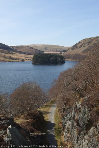 View from above Devil's Gulch Elan valley Picture Board by Ursula Keene