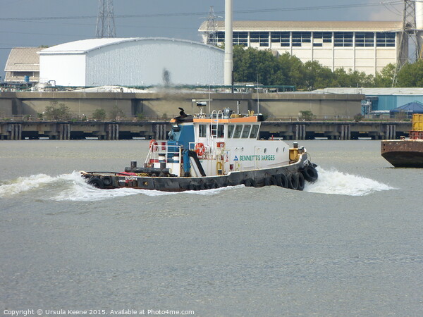 Bennett's Barge Steven B turning upriver Picture Board by Ursula Keene