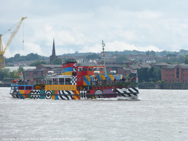 MV Snowdrop crossing the River Mersey  Picture Board by Ursula Keene