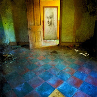 Buy canvas prints of He Opened The Door by clint hudson