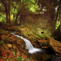 Buy canvas prints of Mill On The Floss by clint hudson