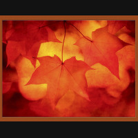 Buy canvas prints of Autumn Sunrise by clint hudson