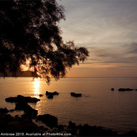 Buy canvas prints of Morning through the trees by Barbara Ambrose