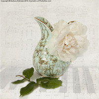 Buy canvas prints of Rose music by Barbara Ambrose