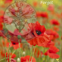 Buy canvas prints of Lest we forget by Barbara Ambrose