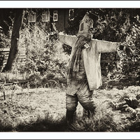 Buy canvas prints of Scarecrow by Tracy Hughes