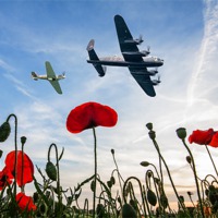 Buy canvas prints of Lancaster & Spitfire over Poppy Field by Robert  Radford