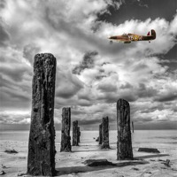 Buy canvas prints of Wood Henge Spitfire YBW by Robert  Radford