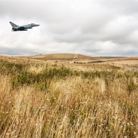 Buy canvas prints of Eurofighter Typhoon South Downs by Robert  Radford