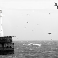 Buy canvas prints of Dover breakwater lighthouse by nick coombs