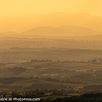 Buy canvas prints of Golden Hues Over Rolling Countryside by nick coombs