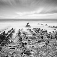 Buy canvas prints of Jurassic Coast Devon by nick coombs