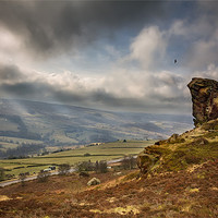 Buy canvas prints of Hunting over Ramshaw Rock by nick coombs