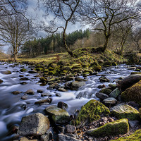 Buy canvas prints of Two River Meeting by nick coombs
