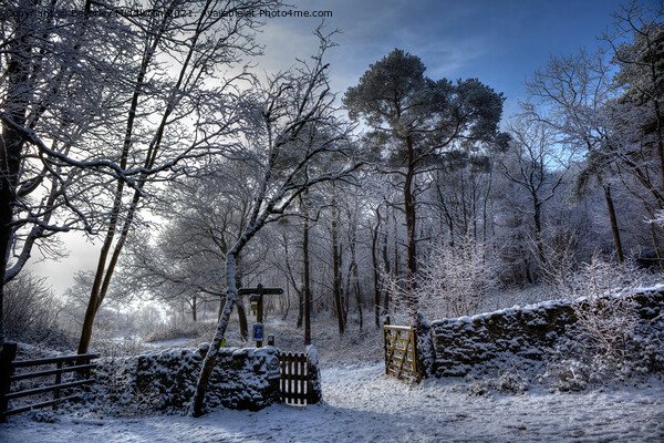 Winter on the Knott Picture Board by Beverley Middleton