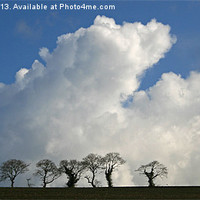 Buy canvas prints of Tree Skyline by Beverley Middleton