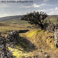 Buy canvas prints of Crummack Dale, Yorkshire by Beverley Middleton