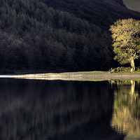 Buy canvas prints of Buttermere by Beverley Middleton
