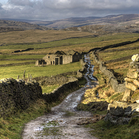 Buy canvas prints of  Edge Lane, Upper Wharfedale by Beverley Middleton