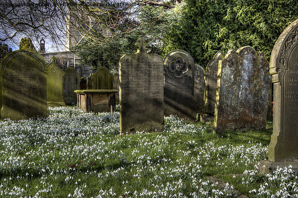  Churchyard at Hampsthwaite Picture Board by Beverley Middleton