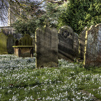 Buy canvas prints of  Churchyard at Hampsthwaite by Beverley Middleton