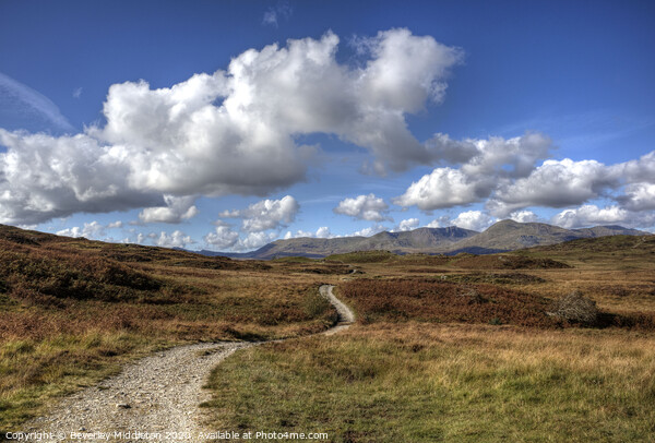 Bethecar Moor, near Coniston Water Picture Board by Beverley Middleton