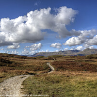 Buy canvas prints of Bethecar Moor, near Coniston Water by Beverley Middleton