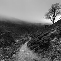 Buy canvas prints of Moorland track on misty day by Beverley Middleton