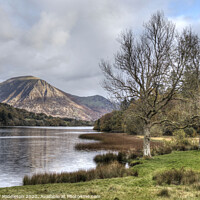 Buy canvas prints of Grasmoor and Loweswater by Beverley Middleton