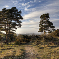 Buy canvas prints of Walk on the Knott by Beverley Middleton