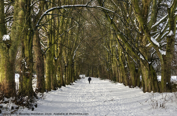 Winter in Rawdon Picture Board by Beverley Middleton