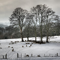 Buy canvas prints of Winter in Wharfedale by Beverley Middleton