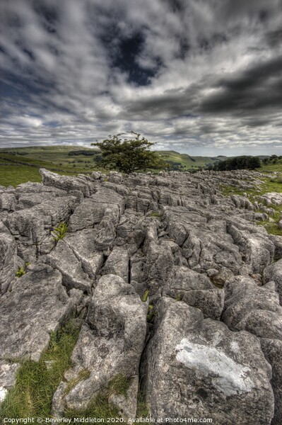 Limestone pavement settle Picture Board by Beverley Middleton