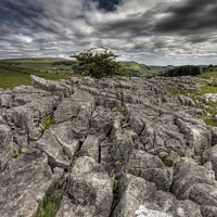 Buy canvas prints of Limestone pavement settle by Beverley Middleton