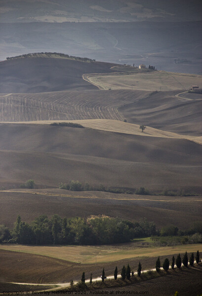 Rolling Tuscan Hills Picture Board by Beverley Middleton