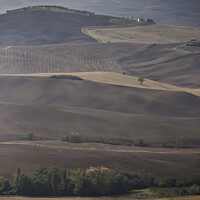Buy canvas prints of Rolling Tuscan Hills by Beverley Middleton